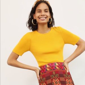 Anthropologie | MAEVE JOSEFA RIBBED TEE | Size XS
